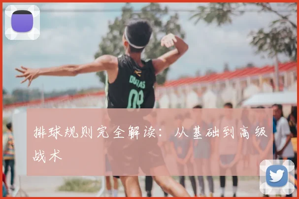 排球规则完全解读：从基础到高级战术