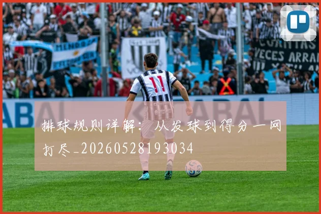 排球规则详解：从发球到得分一网打尽_20260528193034
