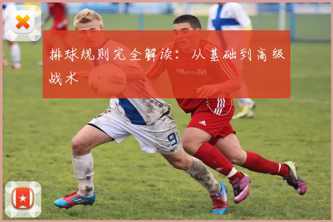 排球规则完全解读：从基础到高级战术